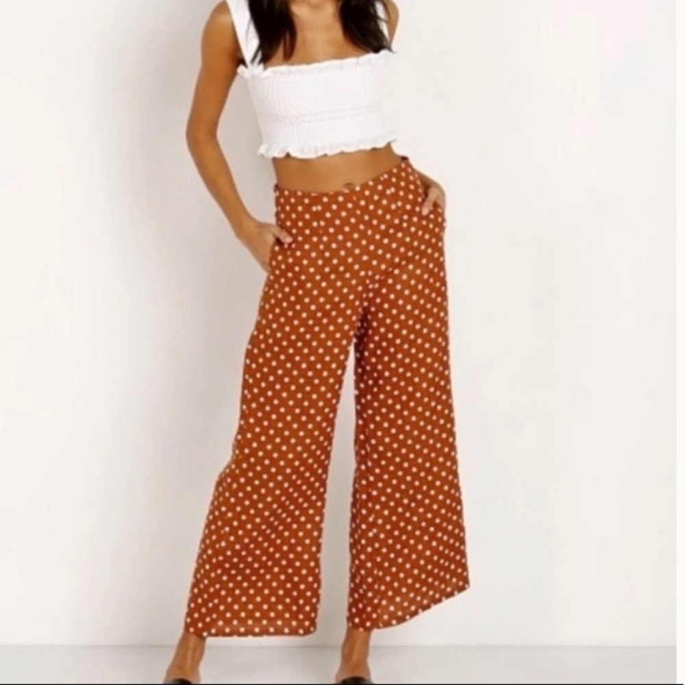 Anthropologie Isobel Pleated Wide Leg Pants